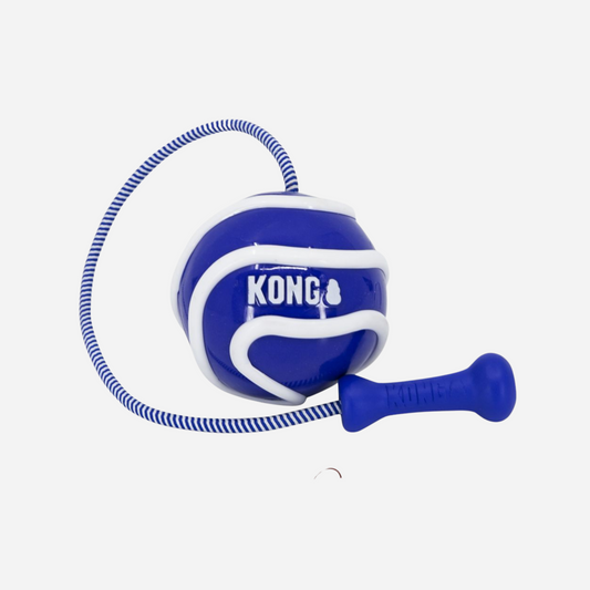 KONG Wavz Bunjiball