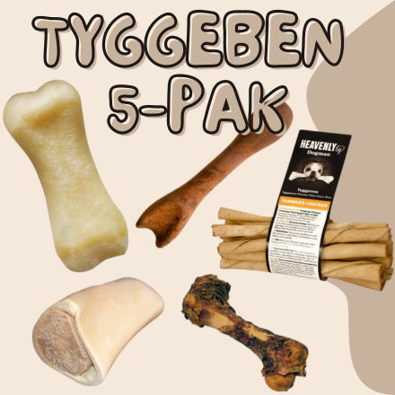 Tyggeben pakke - 5 pak.