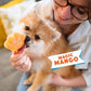 Smoofl Dog Ice Dog Ice Cream Mix med mango