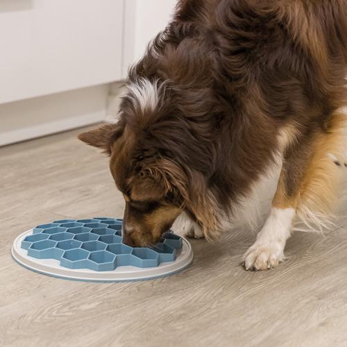 Hive Slow Feeding plate