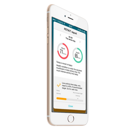 Petkit Pet Activity Monitor