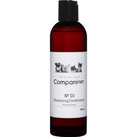 COMPANION 2 I 1 SHAMPOO