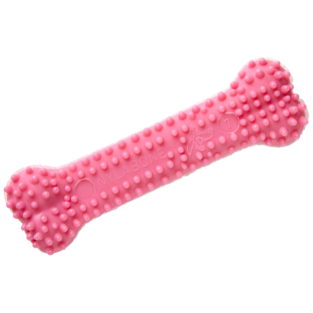 Nylabone tannvalp