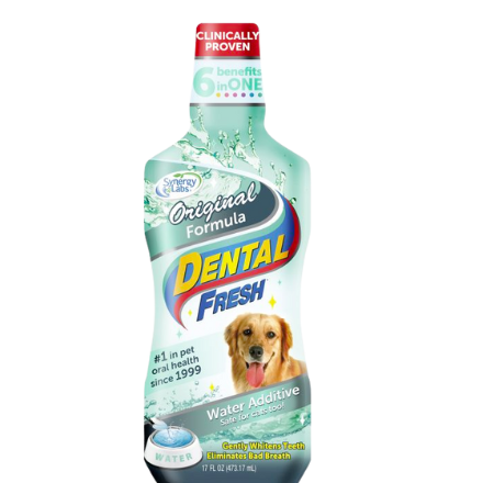 Dental Fresh